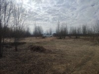 IMG_20230423_094313.jpg