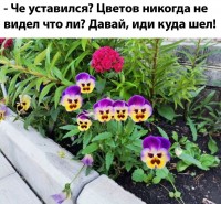 IMG-20230514-WA0002.jpg