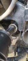 IMG_20230626_122446.jpg
