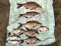 IMG_0561.jpeg