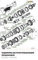 IMG_1266.jpeg