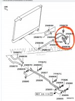 IMG_4738.jpeg
