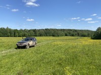 IMG_6595.jpeg