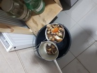 20230728_013519.jpg