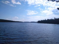 IMG_20230809_121327_1.jpg