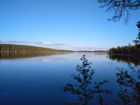 IMG_20230810_195120_1.jpg