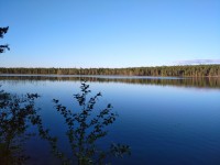 IMG_20230810_195131_1.jpg