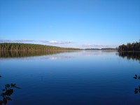 IMG_20230810_195157.jpg