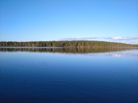 IMG_20230810_195209.jpg