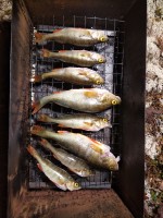 IMG_20230810_225028_1.jpg