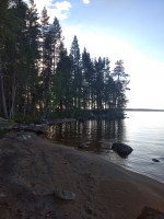 IMG_20230815_192326.jpg