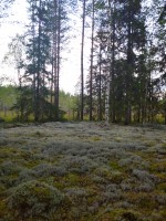 IMG_20230816_195607.jpg