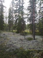IMG_20230816_195626_1.jpg
