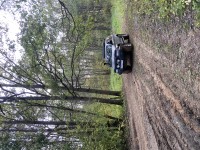 IMG_7644.jpeg