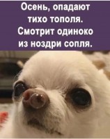 IMG-20230923-WA0009.jpg