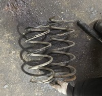 IMG_7984.jpeg
