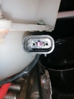 IMG_20231010_184657.jpg