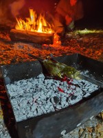 IMG_20231001_210747.jpg
