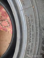 IMG_20231021_125408.jpg