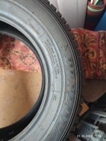 IMG_20231021_125404.jpg