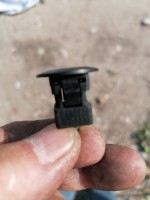 IMG_20230616_164558.jpg