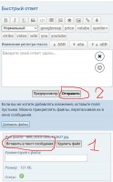 5-dw.jpg