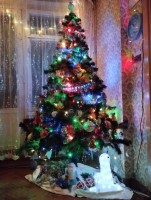 IMG_20231221_225549.jpg