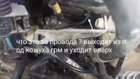 IMG_20231227_125648.jpg
