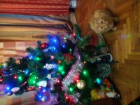 IMG_20231231_172710.jpg
