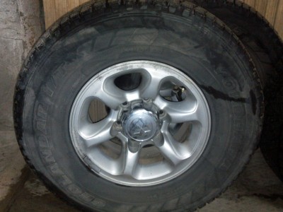 IMG_20111004_164851.jpg