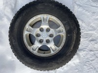 IMG_7389.jpeg