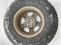 IMG_7394.jpeg