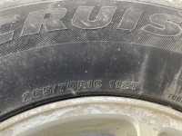 IMG_7392.jpeg