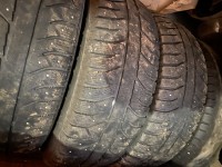 IMG_7395.jpeg