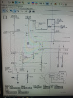 IMG_20240318_111656_098.jpg