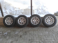 IMG_20240217_124900.jpg