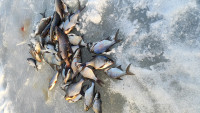 IMG-20240323-WA0024.jpeg