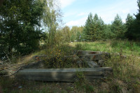 IMG_8904.JPG