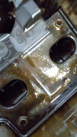IMG-20240414-WA0002.jpg