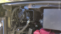 IMG_20240628_094511[1].jpg