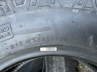 IMG_7984.jpeg