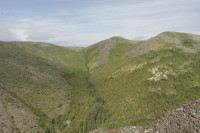 _MG_8884.JPG