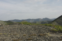 _MG_8887.JPG