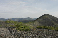 _MG_8898.JPG