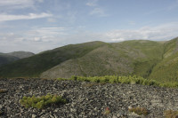 _MG_8900.JPG