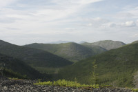 _MG_8901.JPG