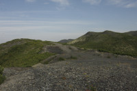 _MG_8906.JPG