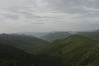 _MG_8908.JPG