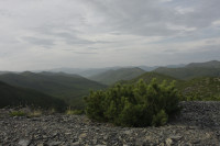 _MG_8910.JPG