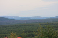 IMG_8929.JPG